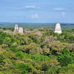 Ruinen von Tikal im Petén-Dschungel