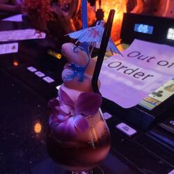 The drink