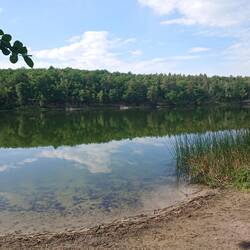 Kleiner Lienewitzsee