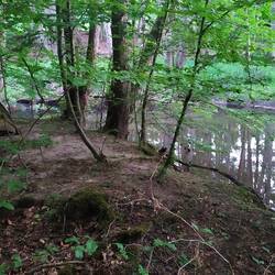 Traumhafter Platz zum wildcampen, mit Bachgeräuschen ;)