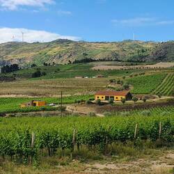 ...Und wunderschöne Quintas