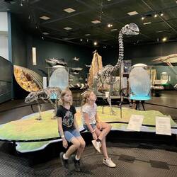 Museum and Art Gallery of NT