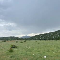 Hier hatte ich tatsächlich noch das Gefühl, dass das Gewitter an mir vorbeiziehen wird.