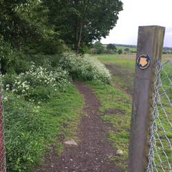 Public Footpath on the outskirts of Gildersome