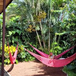 Hostel