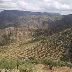 Die Landschaft verändert sich