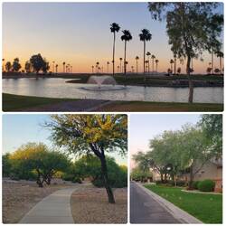 Our new neighborhood