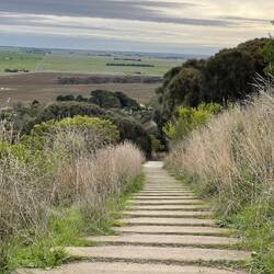 1038 steps up! Going down was hard!