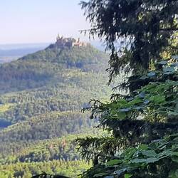 Immer wieder zeigt sich die Burg