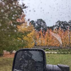 Driving into town and the autumn colours