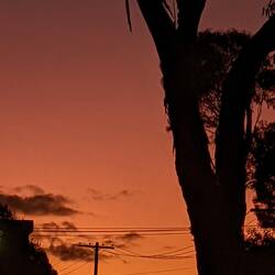 Sunset in Lismore