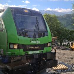 DANS LE TRAIN OSLO-BERGEN