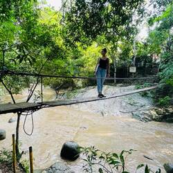 Auch hier gibt es Hängebrücken 😉