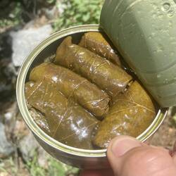 Ausnahmsweise habe ich mir heute auch gefüllte Weinblätter gegönnt. 😍