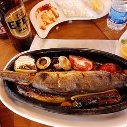 Trout