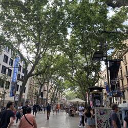 La Rambla