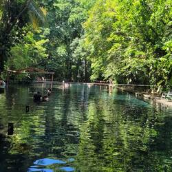 Ojo de Agua, natürlichi Pools