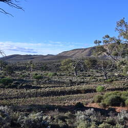 The South Flinders Ranges