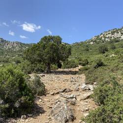 Versuch Nr. 2: Der Weg war durchgehend markiert und alles hat geklappt. 👍🏻