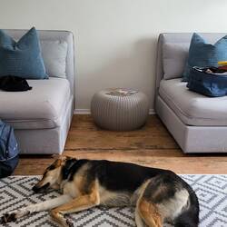 Emmi fühlt sich wohl