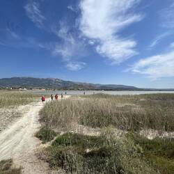 Salt Lake - Flamingos außer Sichtweite