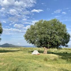 Heute übernachte ich ganz nahe am See.