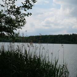 Erstmal ein erfrischendes Bad im Bötzsee