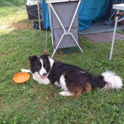 Darf ich vorstellen Lisi