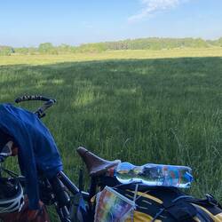 In Polen ist in bestimmten Waldgebieten, Corona-bedingt das Übernachten im Zelt erlaubt