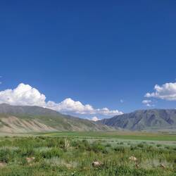 Uitzicht vanaf de slaapplek