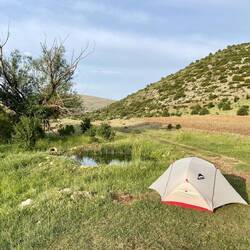 Mein Zeltplatz liegt heute direkt neben einem kleinen Teich. 😍
