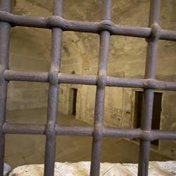 In the prisons of the palace