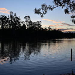 Murray River sunset
