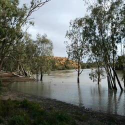 Murray River at Loxton