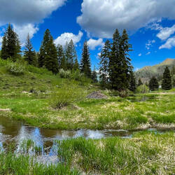 We start the West Brush Creek Trail by the wetlands behind the dam — Sylvan Lake State Park, CO.