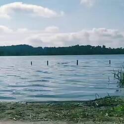 Am Trammer See