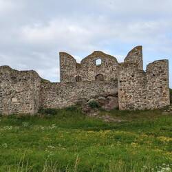 Ruine der Burg Brahehus