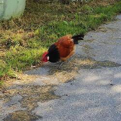 Er versperrte mir den Weg