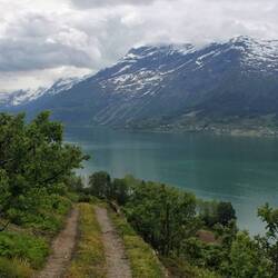 Apfelplantage am Hardangerfjord