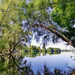 Welcome to the "Green Hell" of Rußheim!