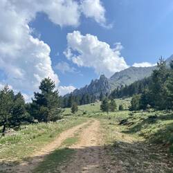 auf dem "Panoramaweg"