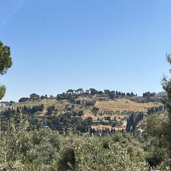 Blick vom Tempelberg auf den Ölberg