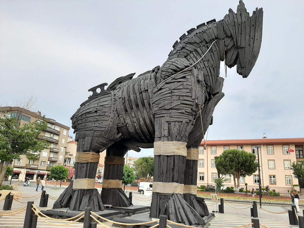 The horse used in the movie Troy