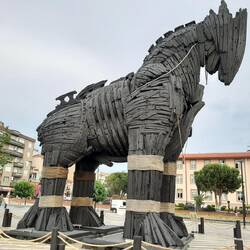 The horse used in the movie Troy