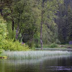 Spaziergang am Fløyen