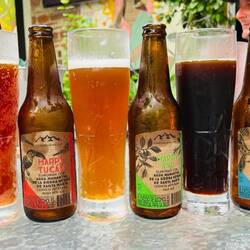 Prost! Welches hättest du gewählt? 🍺