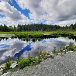 Beaver Lake