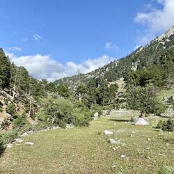 Mir blieb deshalb nichts anderes übrig, als wieder mein Zelt aufzustellen.