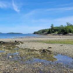 Getting to walk the shore with tide out!