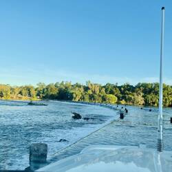 Thrilling drive on Ivanhoe Crossing! Saw a huge salty on our way back 😳